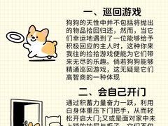 -瑞鹏宠物医院·骨外科·心肾科·肿瘤科(九亭店)
