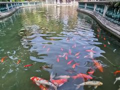 -碧江金楼