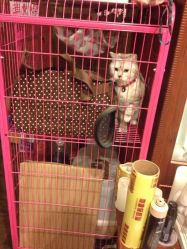 iphone_upload_pic-TWOFACE双面理发馆