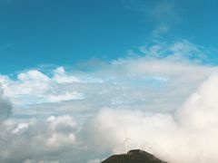 -盐洲岛