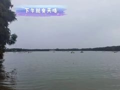 -上海海湾国家森林公园