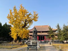 -苏州文庙(姑苏区)