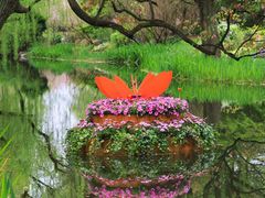 -上海共青森林公园