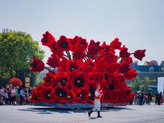 -荷兰花海