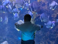 -南昌融创海世界