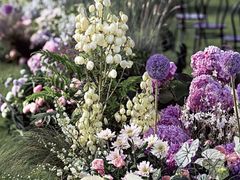 -广交会威斯汀酒店