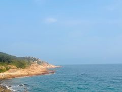 -广东惠东海龟国家级自然保护区