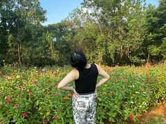 -盘龙城遗址博物院