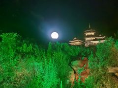 -禅宗少林·音乐大典