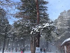 -北海道神宫