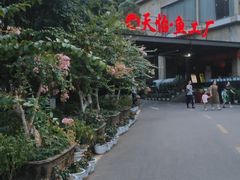 -天怡·鱼工厂(梅溪湖店)