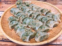 -岳季煎饺