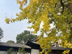 -常熟方塔园