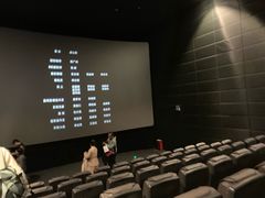-CGV影城(新牌坊4DX店)