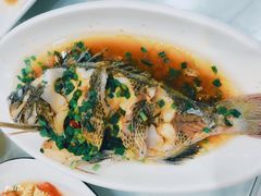 -金海湾海鲜排档(朱家尖店)