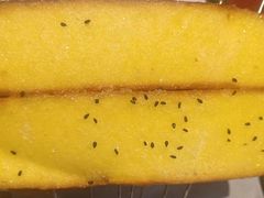 -泰山王老三串店(欢乐颂店)