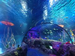 -沈阳海洋探索中心