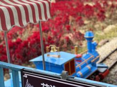 -广东花都香草世界旅游度假区