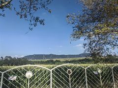 -光明小镇欢乐田园