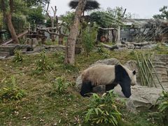 -武汉动物园