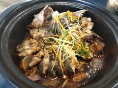 -金龙寨(龙城路店)