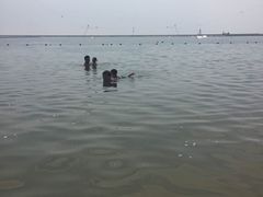 -碧海金沙