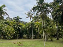 -中国科学院西双版纳热带植物园