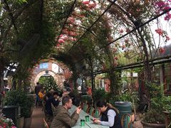 -The Grounds of Alexandria