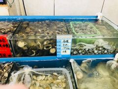 -渔民船说·北塘海鲜·天津菜·海肠捞饭(北塘古镇店)