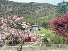 -黑龙潭公园