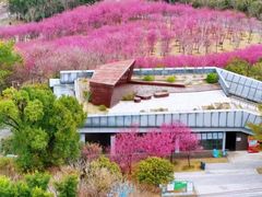 -牛岗山公园