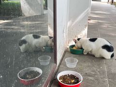 -西园寺素食(西园弄戒幢律寺店)