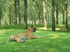 -北京野生动物园