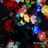 魔都展览｜B.A绽放生命之美沉浸式艺术展