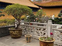 -普陀山风景名胜区-法雨禅寺
