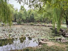 -范蠡湖公园