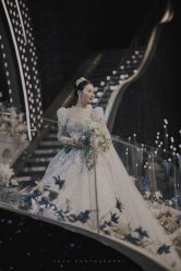 -艾米丽婚纱礼服