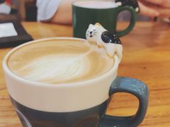 -more than meow吴止猫主题餐厅(承德 中船汇店)