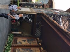 -海南槟榔谷黎苗文化旅游区