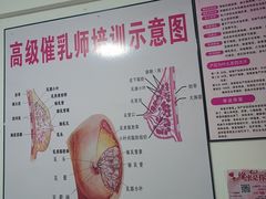 -明日星月嫂服务中心