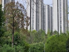 -龙头寺公园