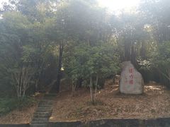 -潜山国家森林公园