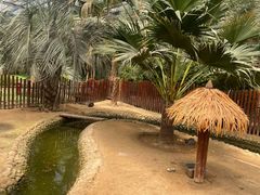 -呀路古热带植物园