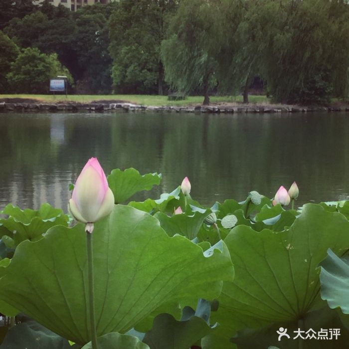 羊山公园-景点图片-柯桥区周边游-大众点评网