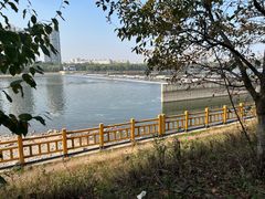 -长白岛森林公园