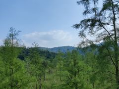 -东莞市大岭山森林公园