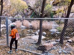 -碓臼峪自然风景区