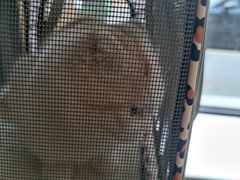 -中农大我爱我爱动物医院·核磁CT·猫病·24小时夜诊中心(石佛营店)