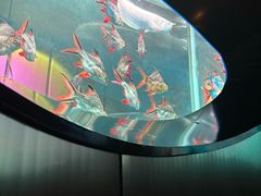 -碧涛阁水世界酒店·洗浴·自助(万家丽路店)