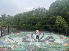 -大湾区中央湿地公园